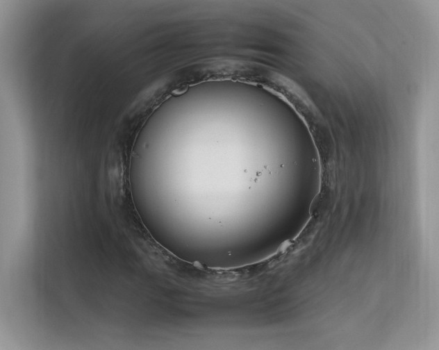 X0000112211111200908071448