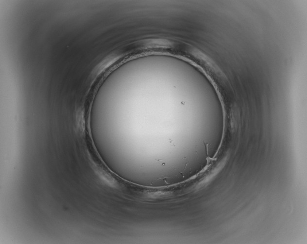 X0000112211113200908071448