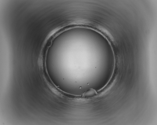 X0000112211114200908071448