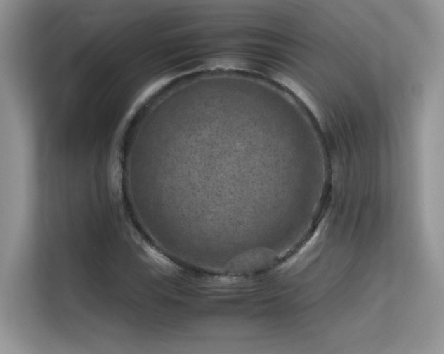 X0000112211115200908071448