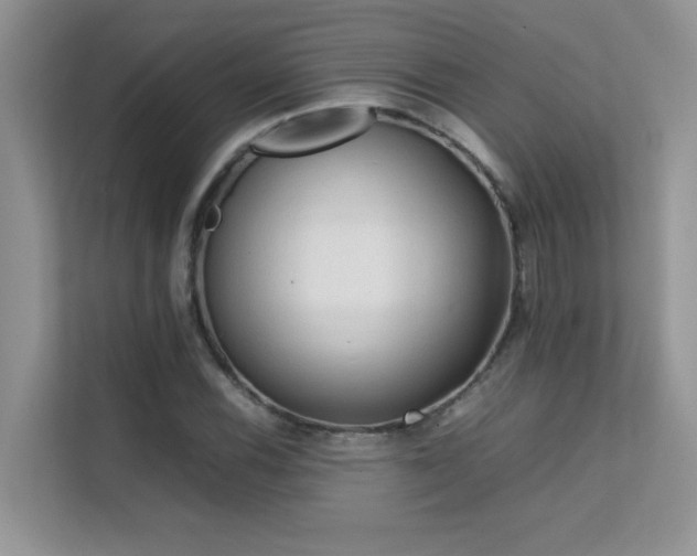 X0000112211116200908071448