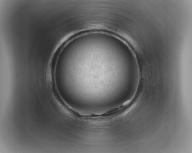 X0000112211118200908071448