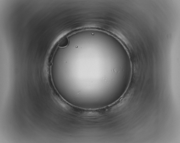 X0000112211119200908071448