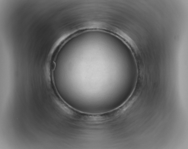 X0000112211120200908071448