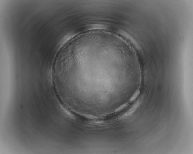 X0000112211121200908071448