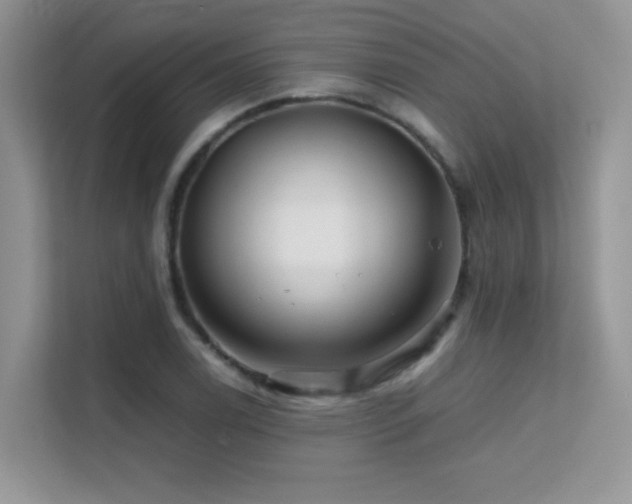 X0000112211122200908071448