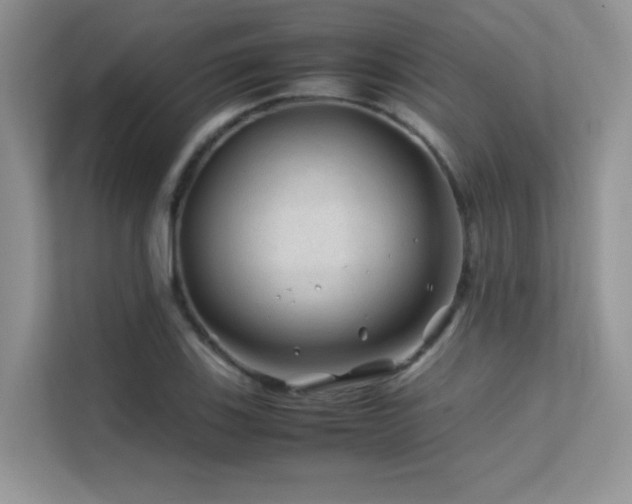 X0000112211123200908071448