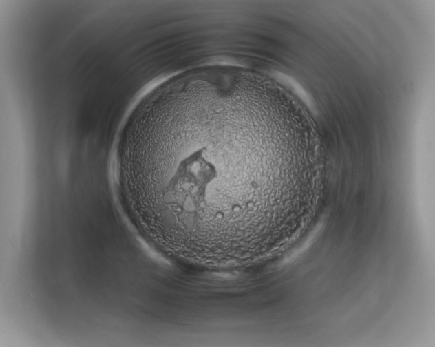 X0000112211125200908071448