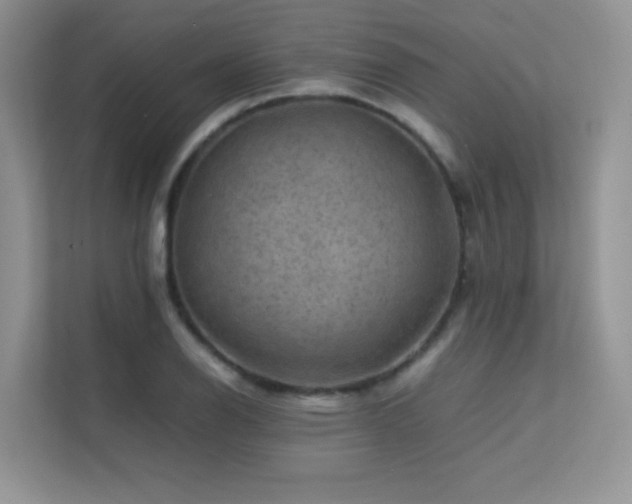 X0000112211126200908071448
