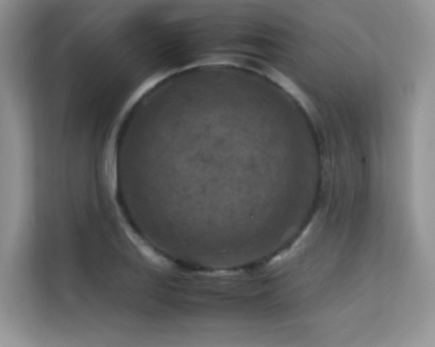 X0000112211127200908071448
