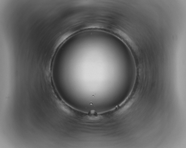 X0000112211129200908071449