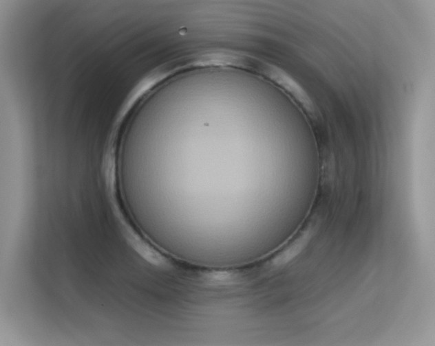 X0000112211130200908071449