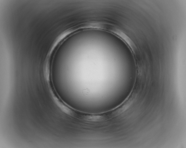 X0000112211131200908071449