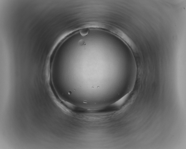 X0000112211132200908071449