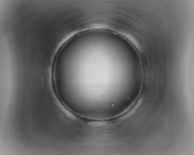 X0000112211134200908071449