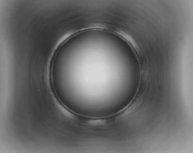 X0000112211135200908071449