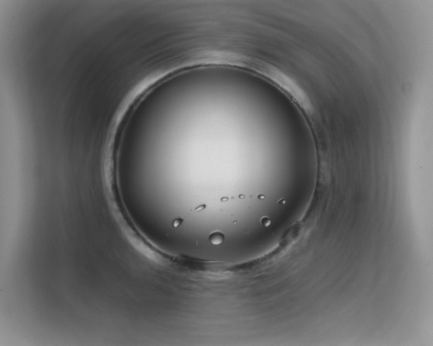X0000112211136200908071449