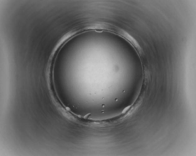 X0000112211138200908071449