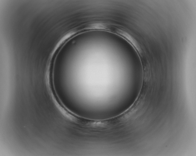 X0000112211139200908071449