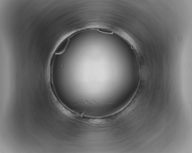 X0000112211140200908071449