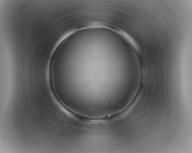 X0000112211142200908071449