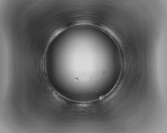 X0000112211145200908071449