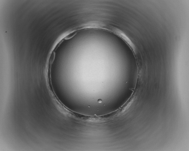 X0000112211146200908071449