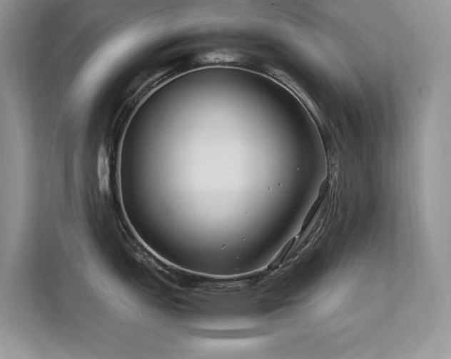 X0000112211151200908071449