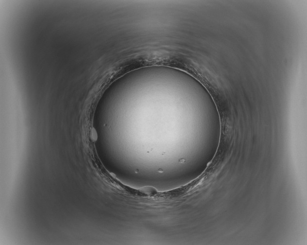 X0000112211153200908071448