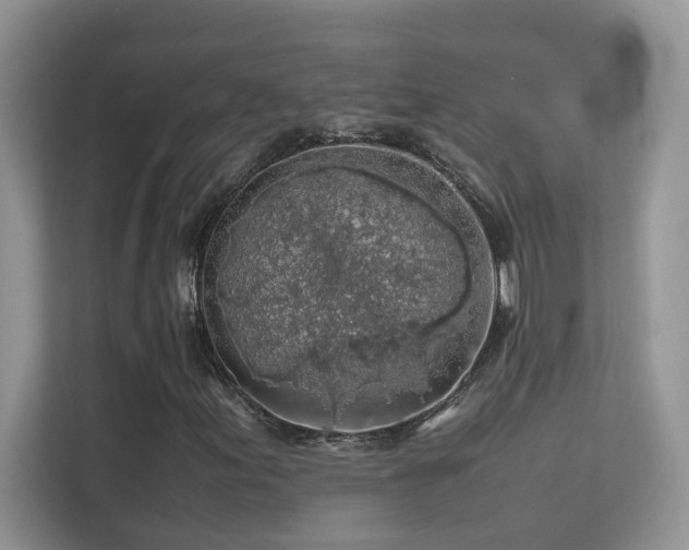 X0000112211155200908071448