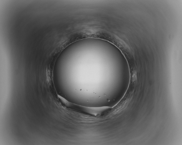 X0000112211156200908071448