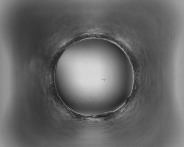 X0000112211159200908071448
