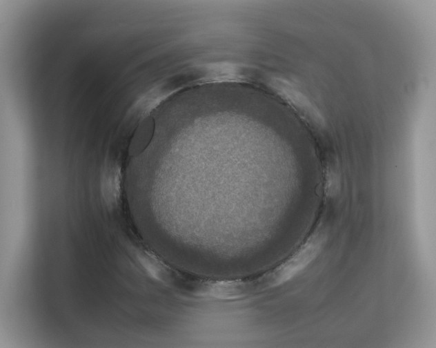 X0000112211161200908071448