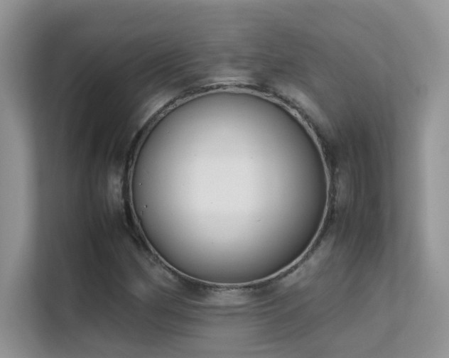 X0000112211162200908071448