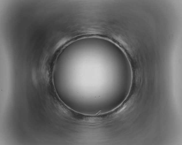 X0000112211163200908071448