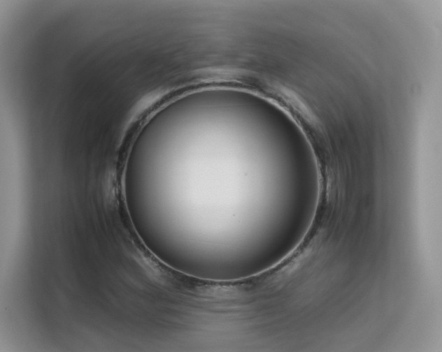 X0000112211164200908071448