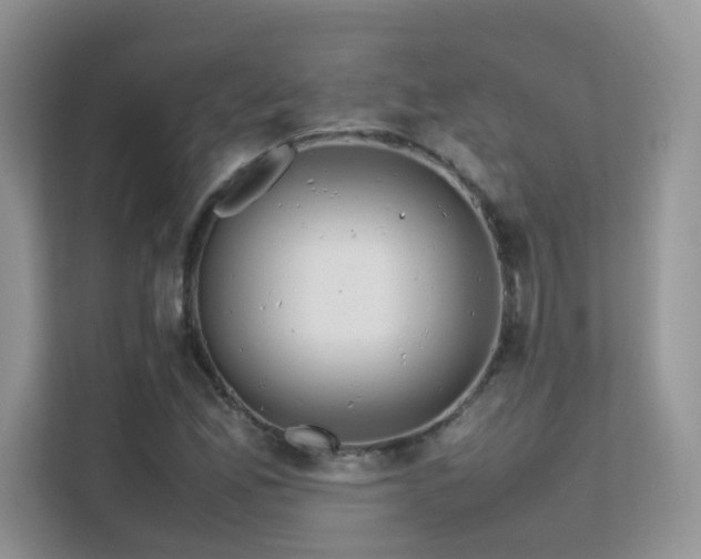 X0000112211165200908071448