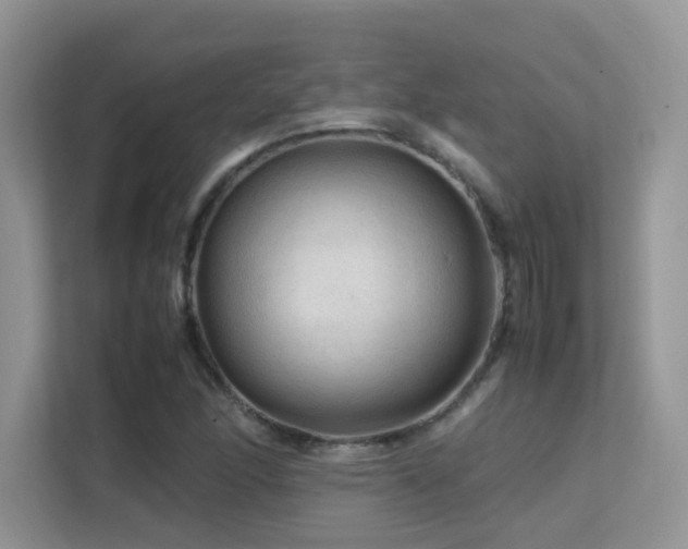 X0000112211166200908071448
