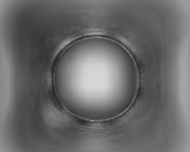 X0000112211167200908071448