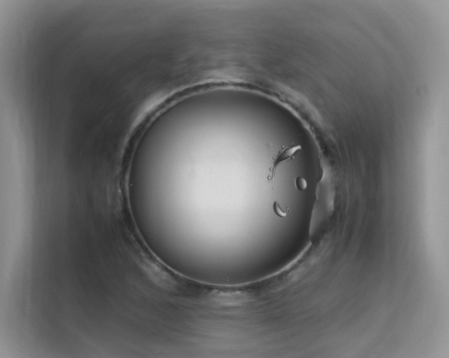 X0000112211168200908071448