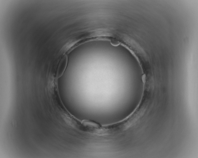 X0000112211169200908071448