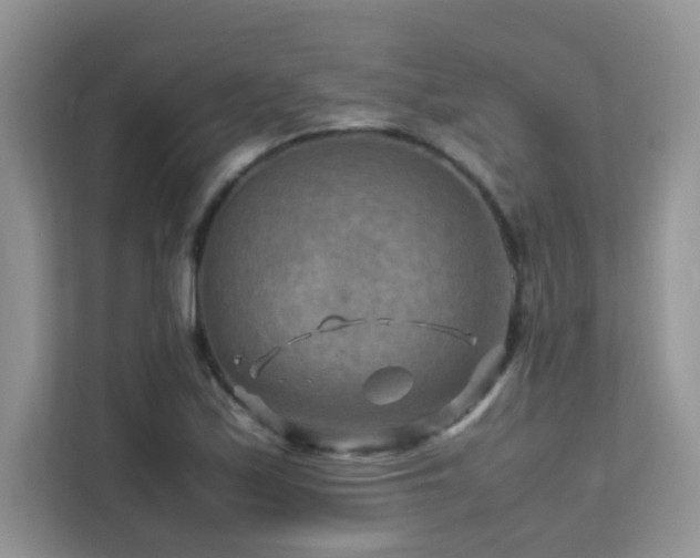 X0000112211171200908071448