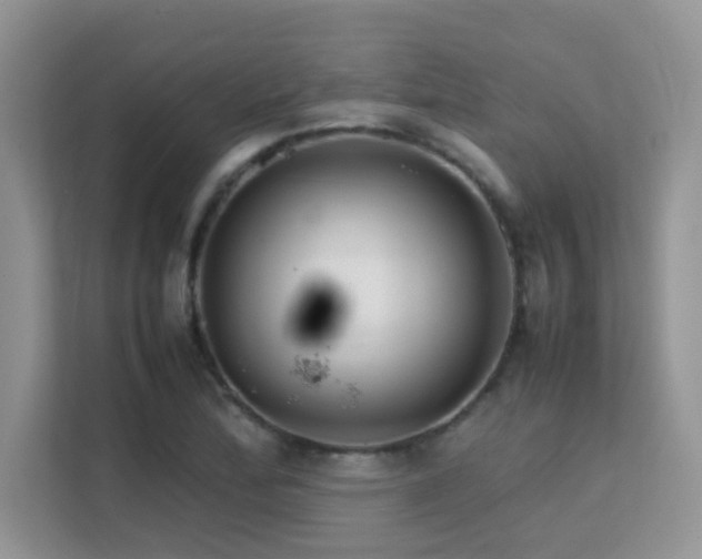X0000112211172200908071448