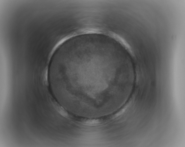 X0000112211174200908071448