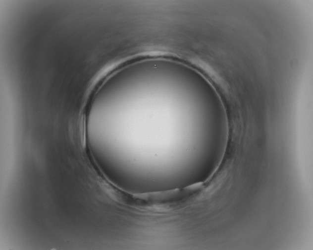 X0000112211175200908071448