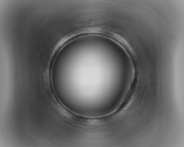 X0000112211176200908071448