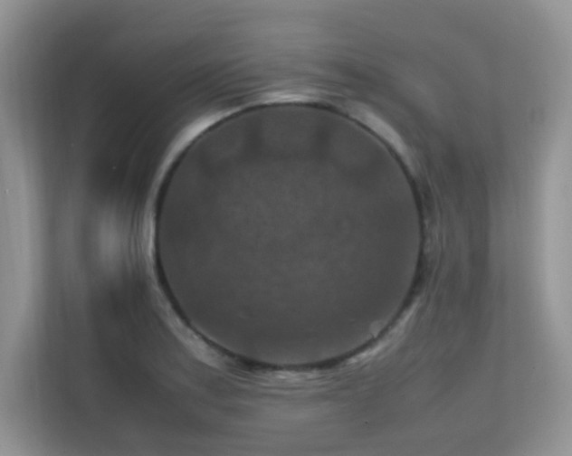 X0000112211179200908071448