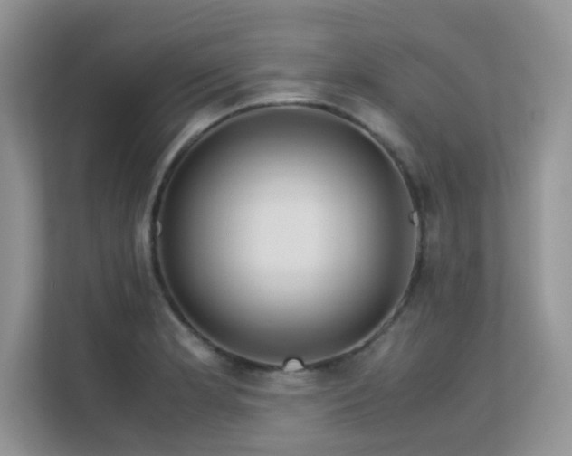 X0000112211181200908071448