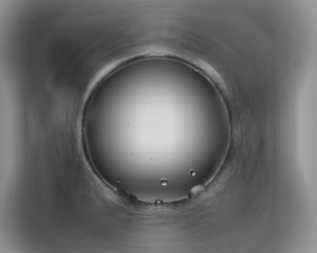 X0000112211183200908071448