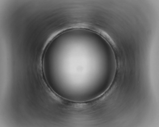 X0000112211184200908071448